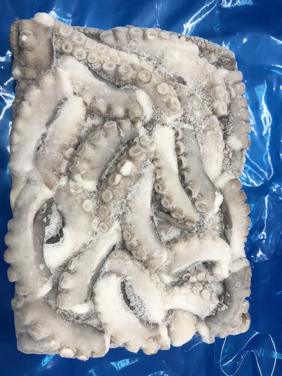 냉동 절단 낙지 (6)