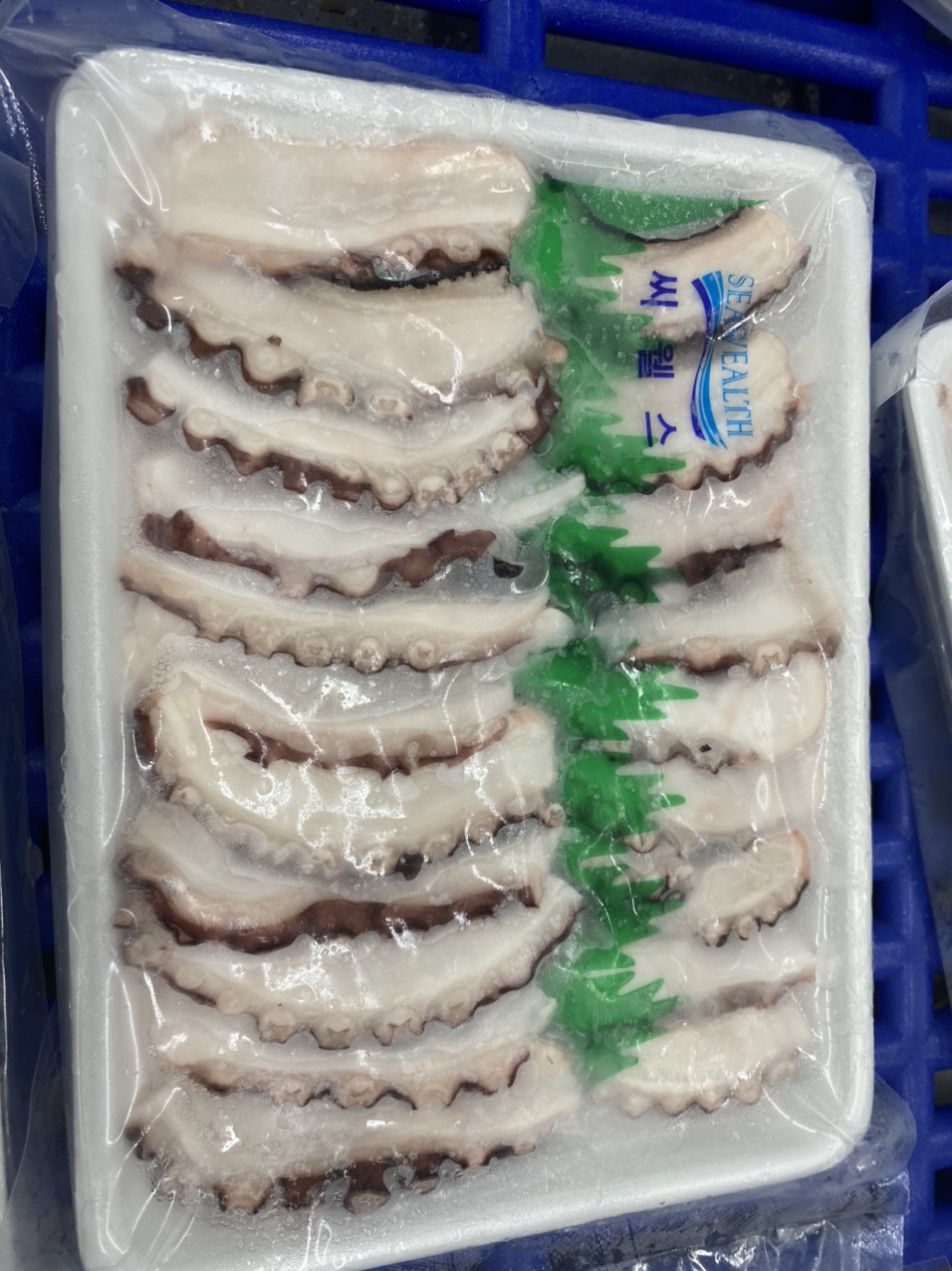 냉동 초밥 살오징어 (5)